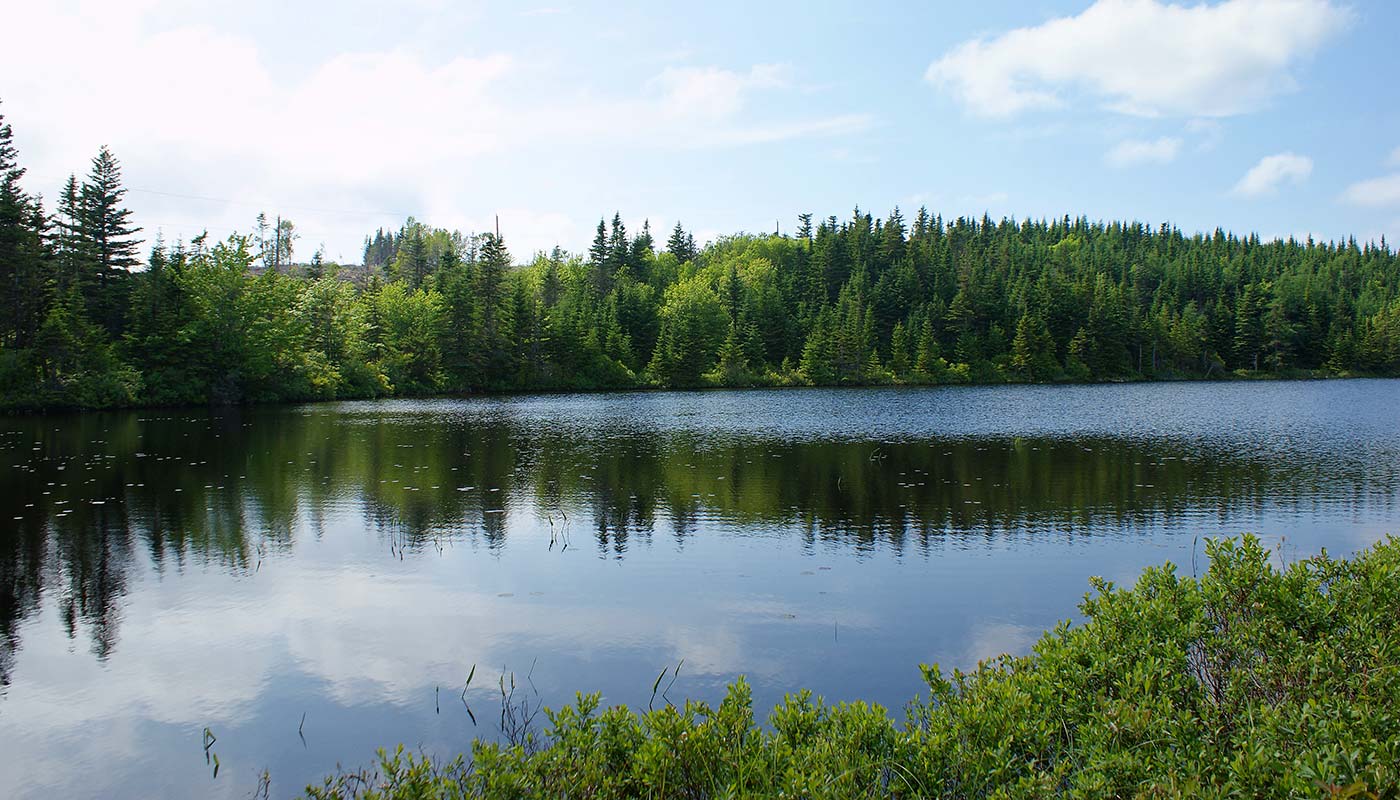 Kanada Grundstücke, Immobilien Kanada, Blue Mountain Lake View Estates