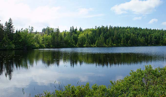 Kanada Grundstücke, Immobilien Kanada, Blue Mountain Lake View Estates